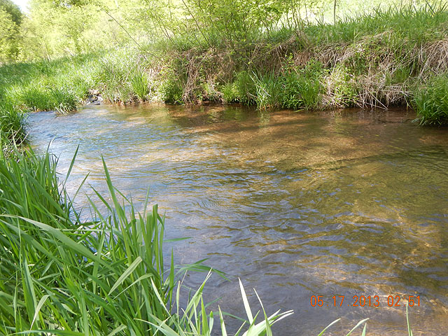 camp 05-17-13 007.jpg -                                